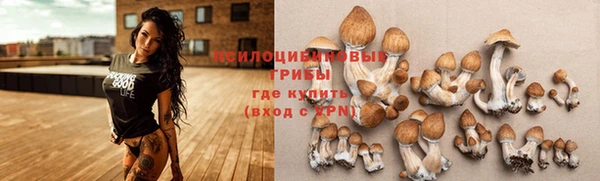 таблы Алексин