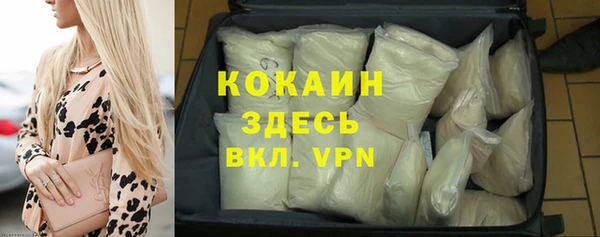 соль ск Алзамай