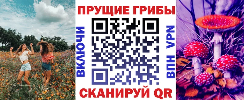 Псилоцибиновые грибы прущие грибы  KRAKEN зеркало  Новосиль 